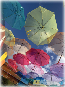 おかげさまで。。おでかけして来ました。