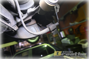 やっぱきちんと”いきたい”ね