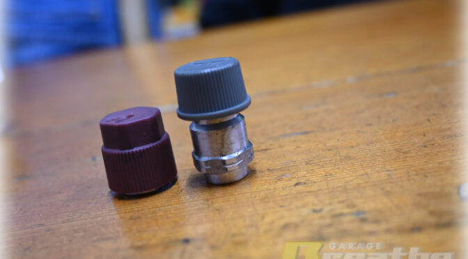 チッチとサリー